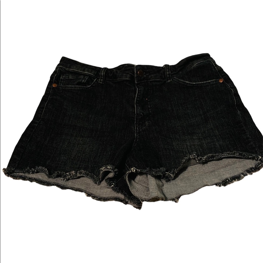Judy Blue Black Shorts